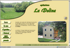 homepage LaDolina.it