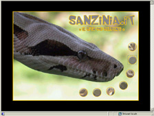 homepage Sanzinia.it